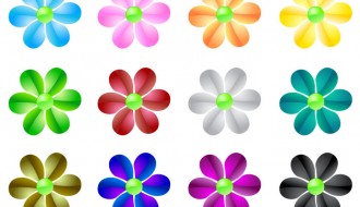 fiori colorati – coloured flowers