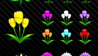 3 tipi di fiori – 3 different flowers