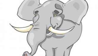 elefante – elephant