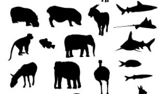 sagome di animali – animal sillhouettes