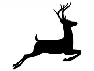 cervo – deer