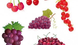 frutta – fruits
