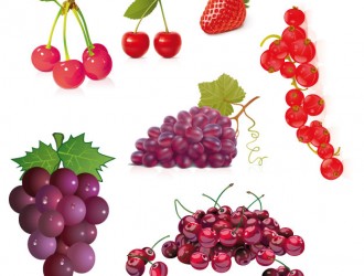 frutta – fruits