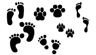 orme e impronte – footsteps and footprints