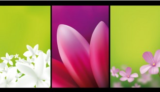 biglietti floreali – floral card