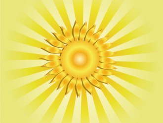 girasole – sunflower