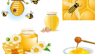 miele – honey