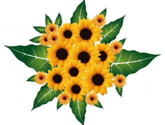 bouquet girasoli – sunflowers bouquet