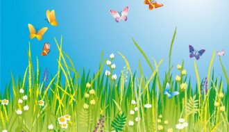 prato con farfalle – meadow with butterflies