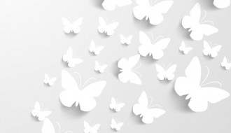 farfalle bianche – butterfly background