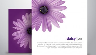 margherita viola – purple daisy flyer
