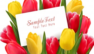 mazzo tulipani – Beautiful tulips flowers