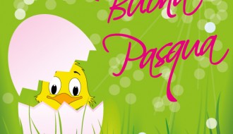 buona Pasqua pulcino in uovo – Easter chick in egg
