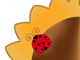 girasole coccinella – sunflower ladybugs