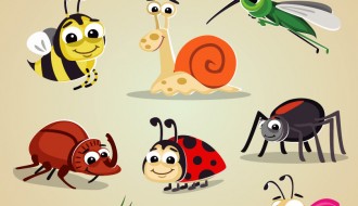 12 insetti – cartoon bugs icon set