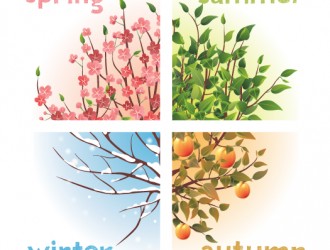 alberi 4 stagioni – trees with four seasons