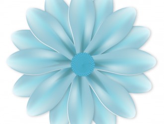 fiore azzurro – blue flower