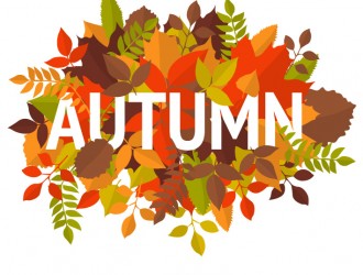 foglie autunnali – autumnal leaves