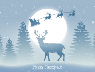 renna, slitta, alberi, neve, Natale – beautiful Christmas scene