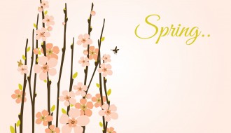 rami fioriti primavera – spring flowering branches