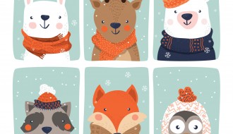 6 animali vestiti inverno – animals winter dresses