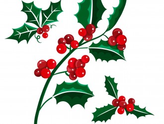 vischio Natale – Christmas mistletoe