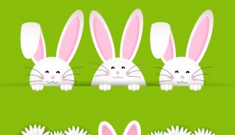 3 conigli con margherite – rabbits with daisies