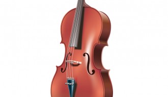 violino – violin