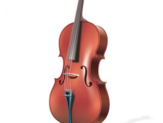 violino – violin