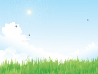 Cielo con erba – Sky with grass
