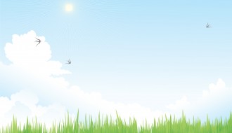 Cielo con erba – Sky with grass