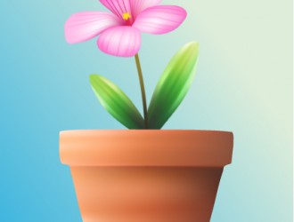 fiore nel vaso – flower in vase