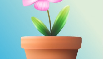 fiore nel vaso – flower in vase
