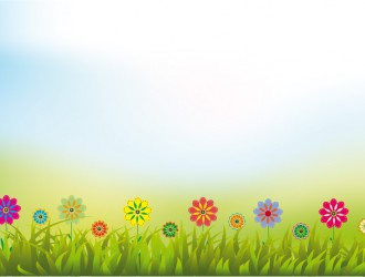 cielo, erba, fiori – sky, grass, flowers
