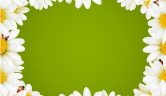 cornice con margherite – daisies’ frame