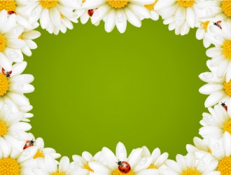 cornice con margherite – daisies’ frame