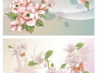 composizione di fiori – flower compositions