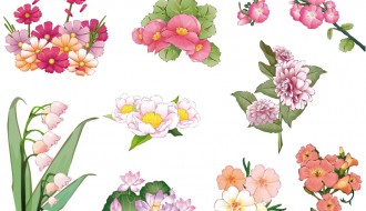 fiori rosa – rose flowers_2