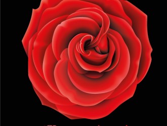 buon compleanno rosa rossa – happy birthday red rose