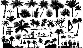 palme – palm trees