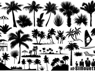 palme – palm trees