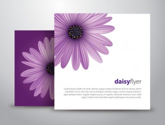 margherita viola – purple daisy flyer