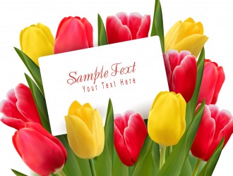 mazzo tulipani – Beautiful tulips flowers