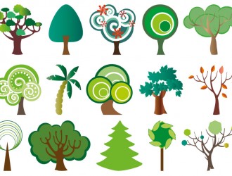 15 alberi – trees