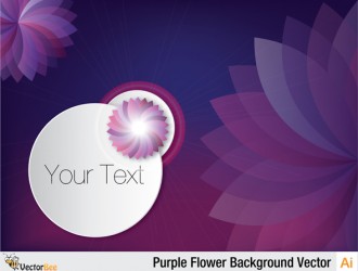 sfondo fiori viola – Purple Flower Background