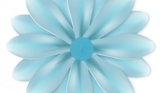 fiore azzurro – blue flower