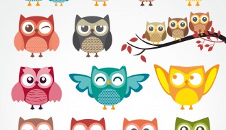 17 gufi – owls