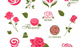 12 rose – roses