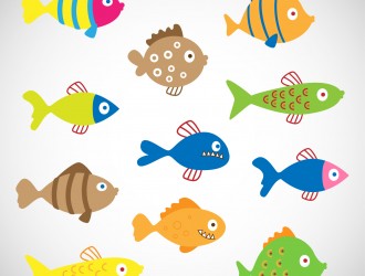 11 pesci colorati – colored fishes