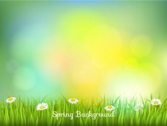 sfondo sfocato primavera – blurred spring background